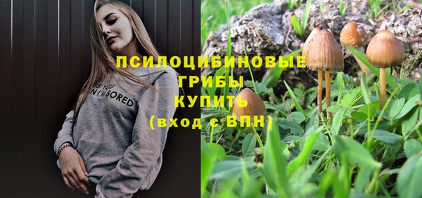 шишки Ветлуга