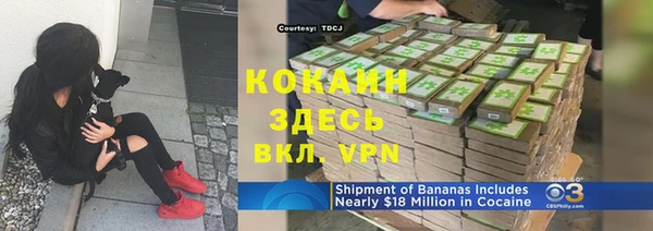 прущие крисы Алзамай
